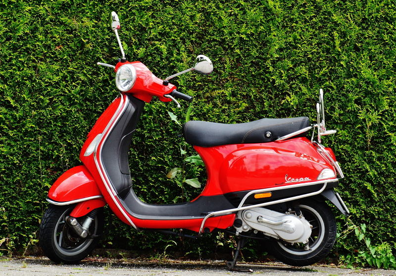 bush, old, tree, flitzer, helmet, drive, technology, plant, old-fashioned, grass, outdoors, scooter, one person, Vespa, growth, nature, moped, mode of Transport