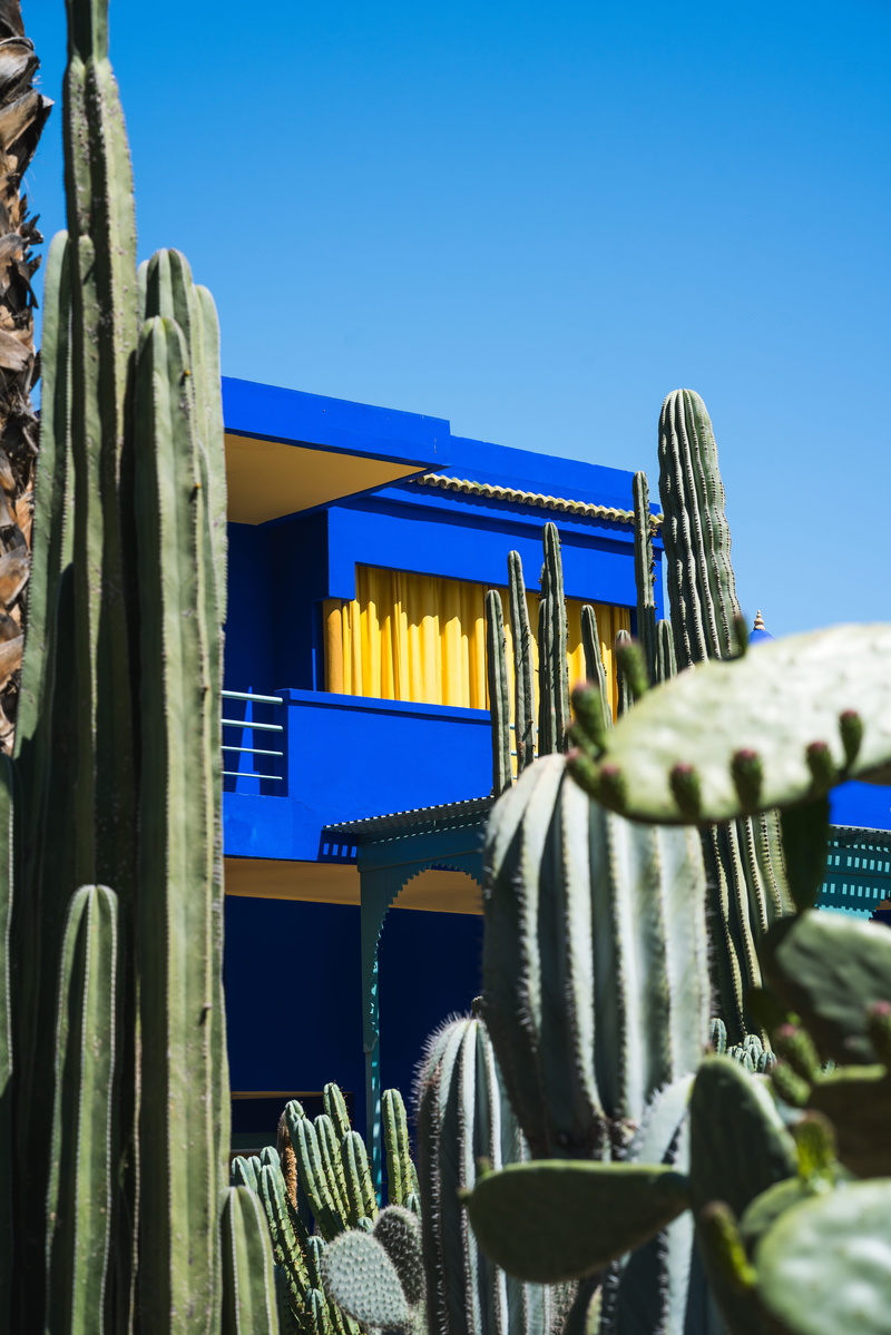 summer, architecture, museum, sky, front, plant, wood - material, blue, house, moder, clear sky, marrakech, outdoors, outdoor, copy space, yellow, sunlight