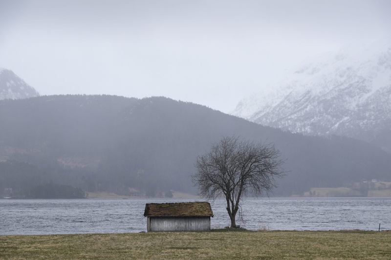 white, hut, day, lonely, outdoors, no people, cabin, tranquility, cloud, house, fog, grass, sea, nature, plant, grass roof, 4K, beauty in nature, tranquil scene
