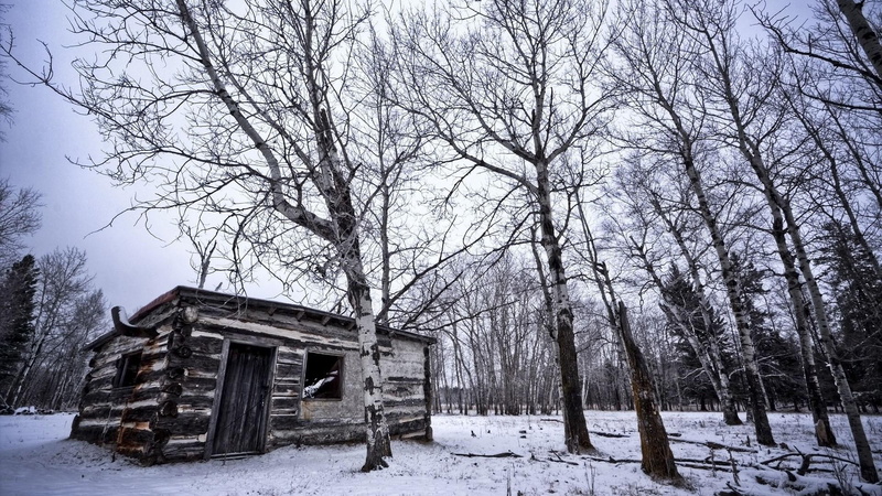 grey, winter, 1920x1080, wood, cabin, 1080P, tree, forest, shack, abandoned, photography, snow