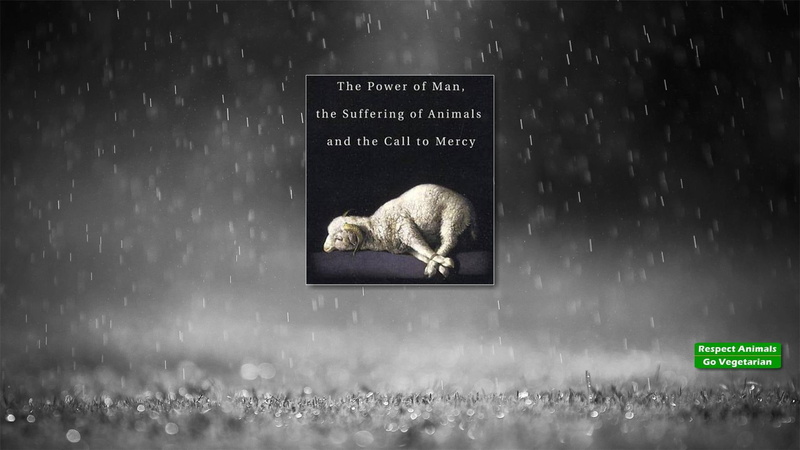 love, vegetarian, animals, mercy, 3d and abst, animal rights, suffering, man, vegan, 1080P, sheep, call, power, animal