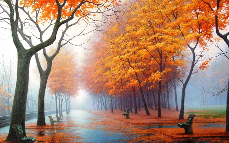  idyllic, nature, rural Scene, lush Foliage, season, orange, colors, painting, october, maple Tree, scenics - nature, outdoors, avenue, no People