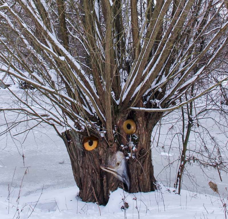 extreme weather, Eyes, nature, Digital Art, mammal, trunk, photo montage, Owl, snow, cold temperature, forest, Tree, animal, winter, tree trunk, 1080P