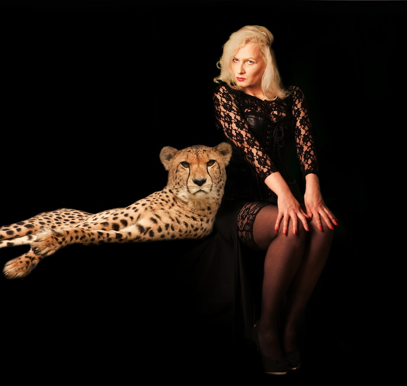 hairstyle, sleeved, adult, woman, women, animal, rearing, animal wildlife, studio shot, cheetah, mini, indoors, black background, long, animal world, looking at camera