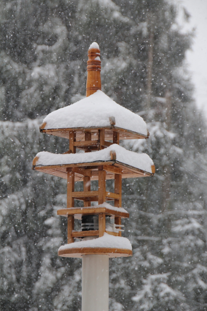 bird, aviary, no people, outdoors, tranquility, day, nesting box, nature, focus on foreground, park, white color, 2K, extreme weather, covering, bird feeder