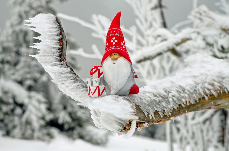 cold, flying, figure, illustration, animal wildlife, imp, tree, white color, gnome, day, nature, gifts, snow, decoration, animal, red, nicholas, celebration