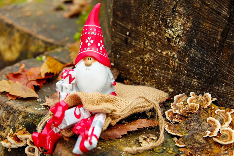 close-up, no people, surround, christmas motif, log, plant part, wood - material, art and craft, tree, still life, mushrooms, day, one animal, representation