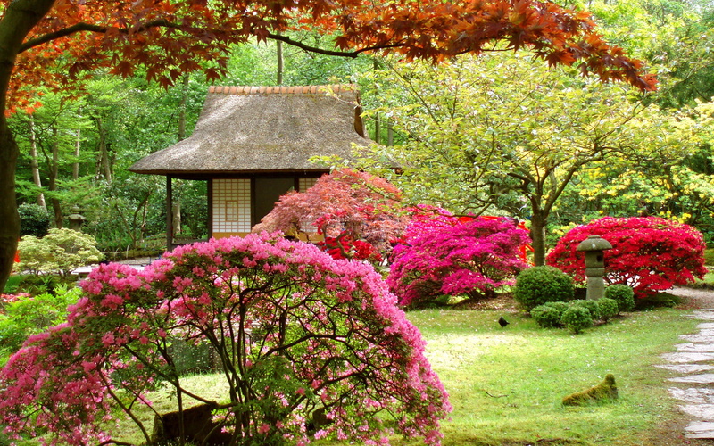 scenics, grass, building exterior, park - Man Made Space, building, freshness, architecture, plant, autumn, formal Garden, park, flower, japanese Culture