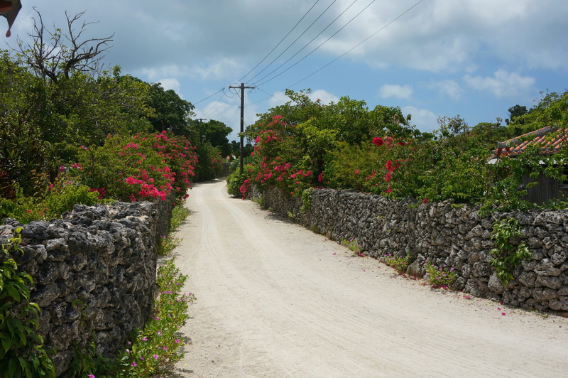 traditional, flower, plant, landmark, power supply, nature, famous, landscape, transportation, sky, tree, street, cloud - sky, tradition, okinawa, asia