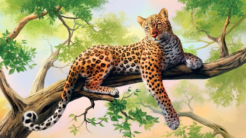 zoo, artistic, one animal, animal themes, feline, nature, branch, animals in the wild, wild cat, mammal, vertebrate, no people, big cat, whisker, leaf