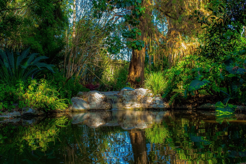 day, water, meditation, beauty in nature, environment, outdoor, zen, trees, calm, plant, tranquil, scenic, land, reflection, pond, 4K, lush, garden, scenics - nature