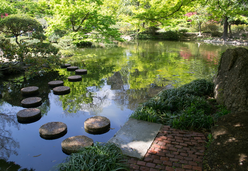 spring, tree, gardens, reflection, growth, beauty in nature, rock - object, trees, japan, outdoors, rock, fish, fort worth, solid, no people, green color