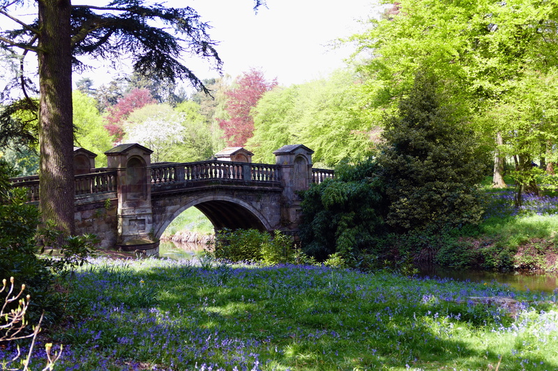 green color, tree, outdoors, bridge, river, outdoor, photo, growing, tourism, central Park, scene, sunny, grass, summer, peaceful, landscape, gardening