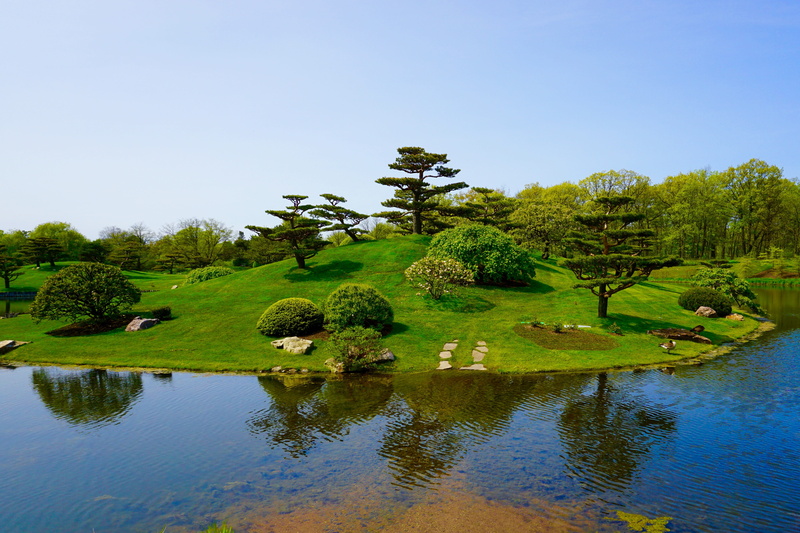 tree, reflection, pond, idyllic, scenics - nature, rural Scene, no people, japanese garden, shrubs, plant, botanic garden, peaceful, daytime, happiness