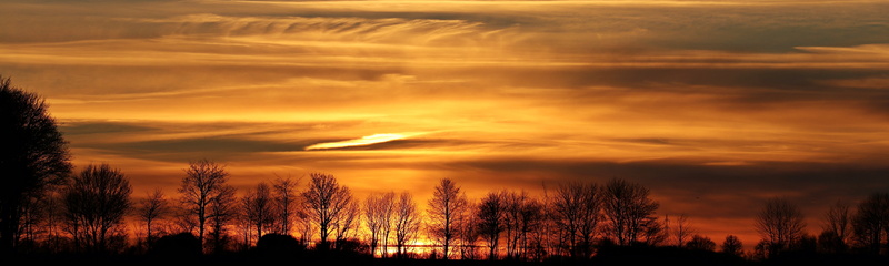 scenics, orange color, mood, twilight, afterglow, cloud - sky, sun, trees, awe, evening, atmosphere, clouds, environment, setting sun, sunlight, horizon