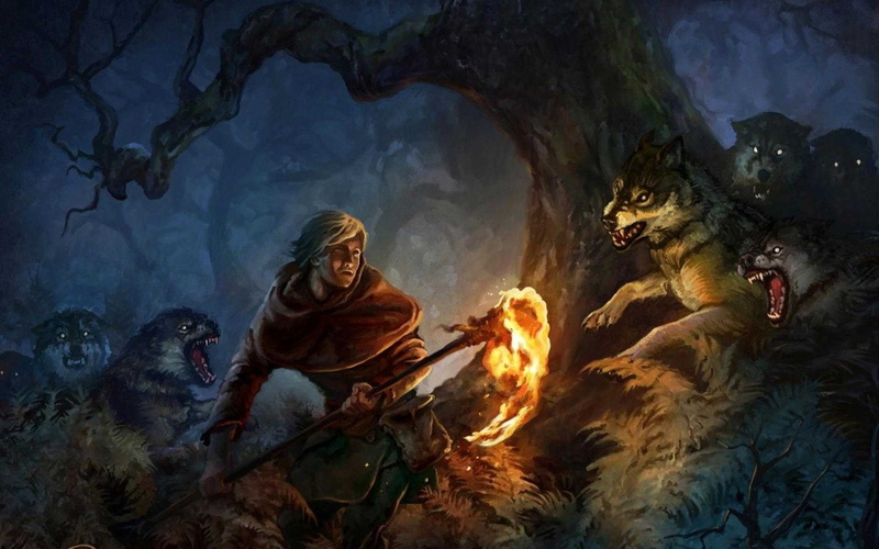 togetherness, trees, man, burning, outdoors, representation, wolf, wolves, fire - natural phenomenon, night, real people, high angle view, sitting