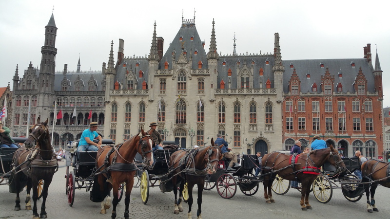horsedrawn, built structure, herbivorous, animal wildlife, building exterior, brugge, vertebrate, belgium, cart, bruges, horse, travel destinations, domestic