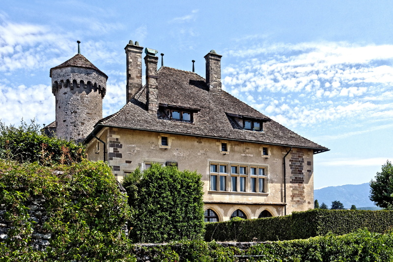 chateau di ripaille, cloud - sky, tree, building, built structure, residential district, the past, manor, mansion, architecture, window, no people, house