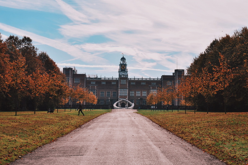 nature, treelined, diminishing perspective, 4K, trees, architecture, tree, house, united kingdom, sky, no people, mansion, footpath, day, change, autumn