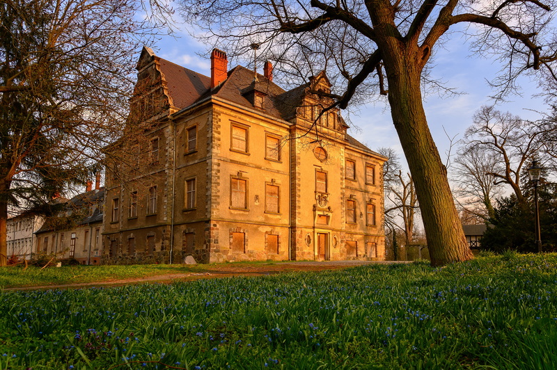 evening, residence, architecture, pforphoto, property, history, branch, park, nature, bare tree, house, past, land, field, real estate, mood, tree trunk
