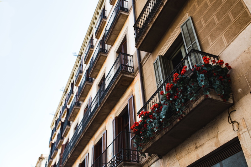 housing, sky, house, low angle view, built structure, sunlight, building exterior, architecture, windows, townhouses, day, old town, residential district