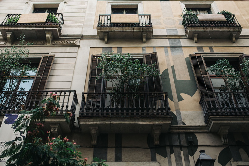railing, travel, windows, houses, potted plant, hanging, architecture, no people, townhouses, residential district, nature, plant, town, barcelona, city