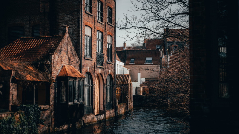 house, residential district, no people, old, architecture, outdoors, building exterior, Bruges, abandoned, tree, nature, bare tree, waterfront, city, built structure