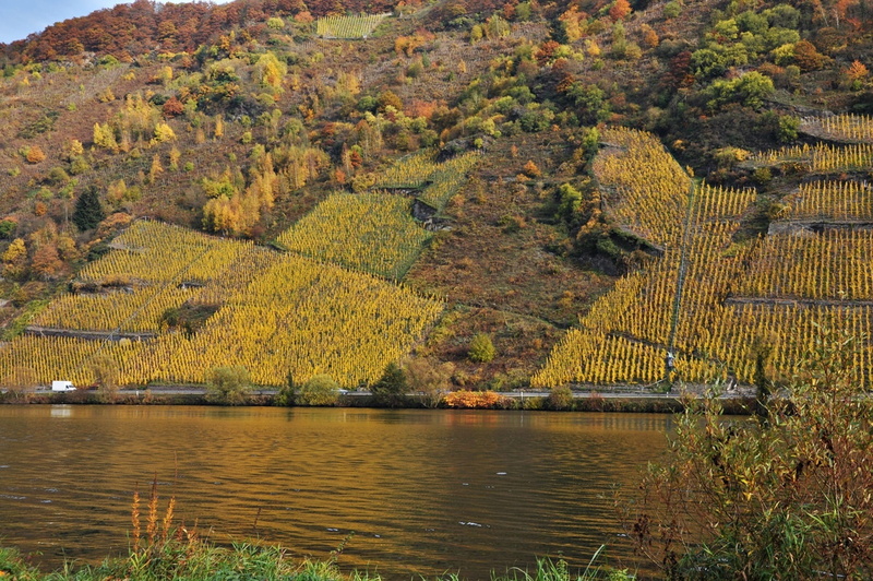 lake, plant, nature, tranquility, tree, tranquil scene, mountain, nautical vessel, mosel, growth, scenics - nature, land, day, water, beauty in nature