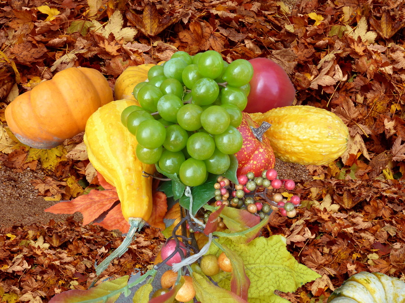 autumn, nature, freshness, plant part, ripe, vegetable, leaves, dry, food, land, artificial, outdoors, herbstdeko, green color, leaf, no people, large group of objects