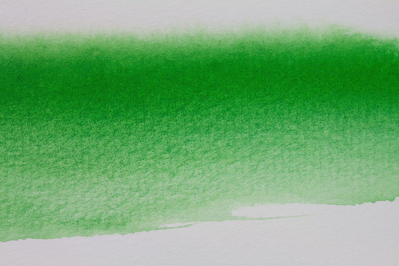 color Image, vibrant Color, backgrounds, white color, close-up, land, watercolor, colors, painting, grass, image, textured, creativity, wall - building feature