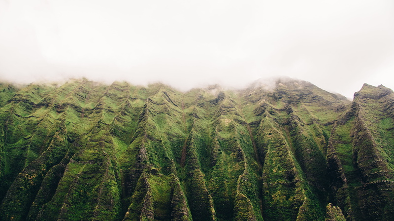 field, mountaing, mist, plant, tree, nature, 4K, mountain, curved, forest, plantation, landscape, clouds, fog, kauai, no people, tropical, green color