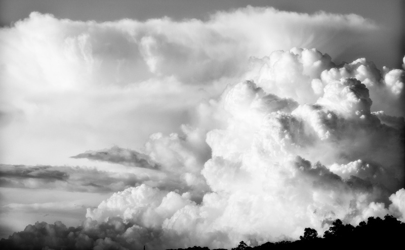 Aichi Prefecture, nature, power in nature, no people, environment, outdoors, backgrounds, atmosphere, 4K, Black and White, softness, Chubu, Clouds, overcast