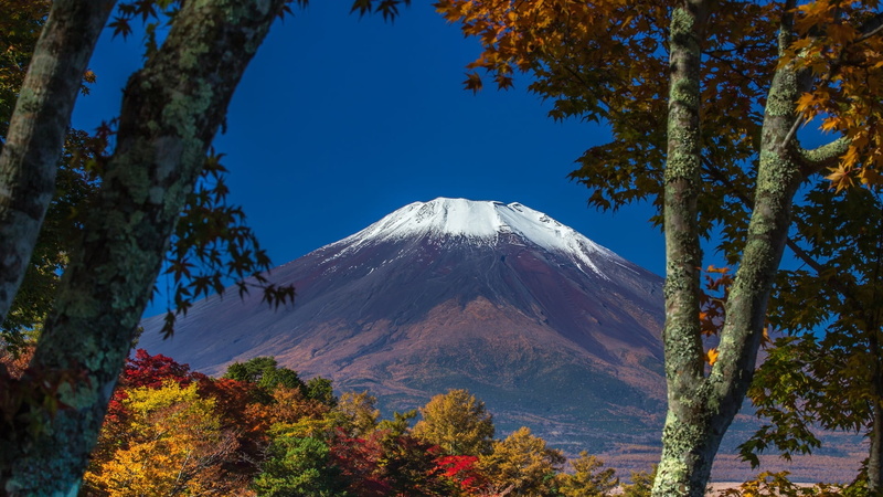 sky, growth, honshu, mount fuji, leaf, asia, snowcapped mountain, japan, day, no people, 1080P, landscape, mountain, tranquility, volcano, clear sky, land