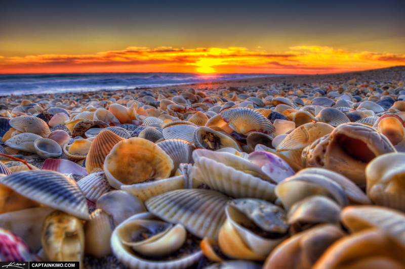 high dynamic range, sand, 480P, nature, captain, Hutchinson-Island, Seashells, topaz, photomatix pro, Florida, animal Shell, gear, Beach, shells, me, bath