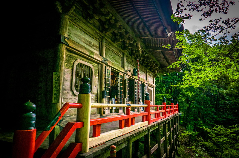 japan, railing, forest, green color, buddhism, tree, window, rail transportation, japanese, maple tree, train - vehicle, building exterior, plant, nature