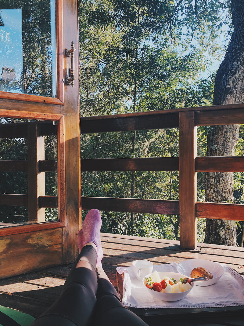 sustainable living, low section, body part, healthy eating, enjoy, freshness, real people, outdoors, tree, human foot, house, relax, sintra, socks, human body part