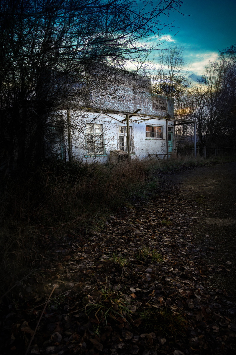 grass, built structure, Haunted, nature, land, house, plant, House, bare tree, Spooky, haunted, ruin, Old, outdoors, tree, 5K, field, residential district