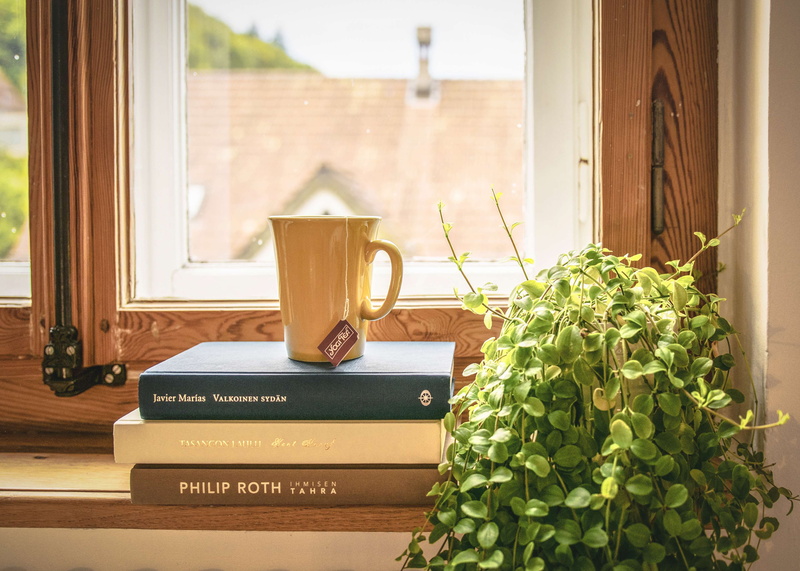 4K, potted plant, green color, wood, plant, glass, story, books, entrance, leaf, interior, plant part, home interior, book stack, window, house, no people