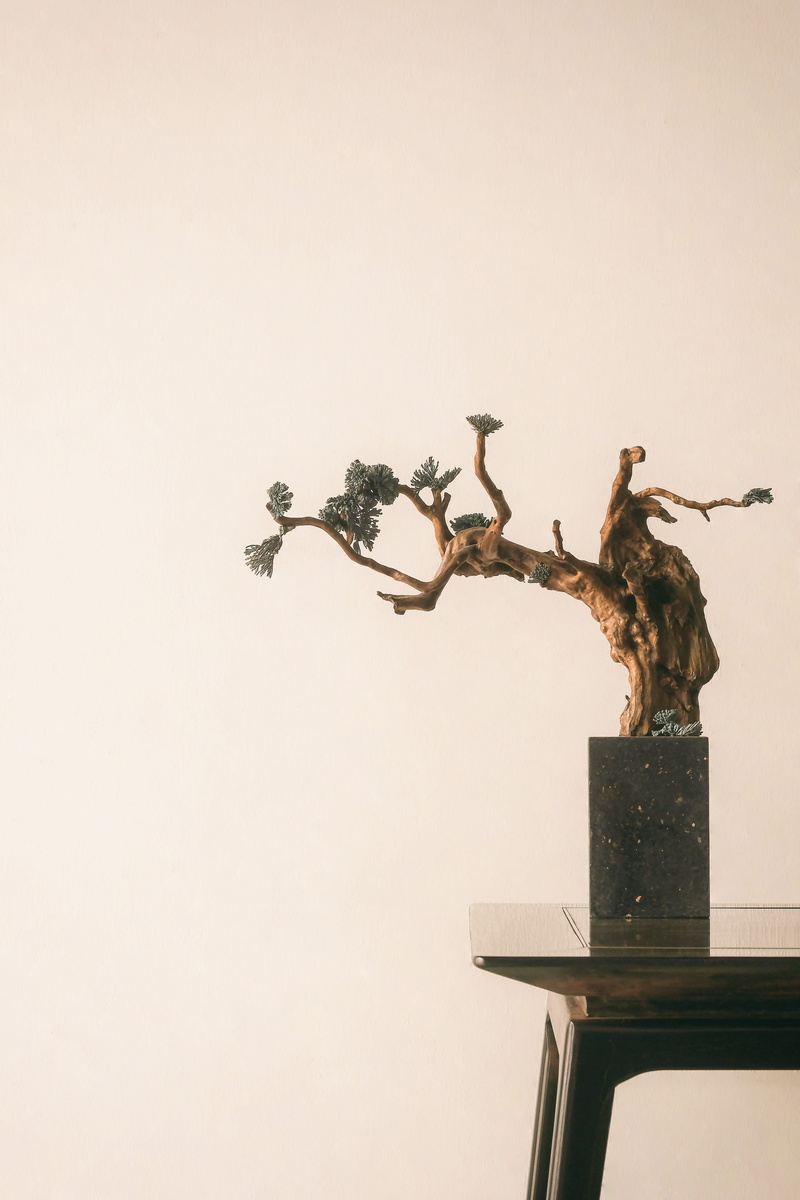 copper, creativity, no people, art gallery, tree, edge, tableware, nature, human representation, table, oriental, copy space, plant, representation, china