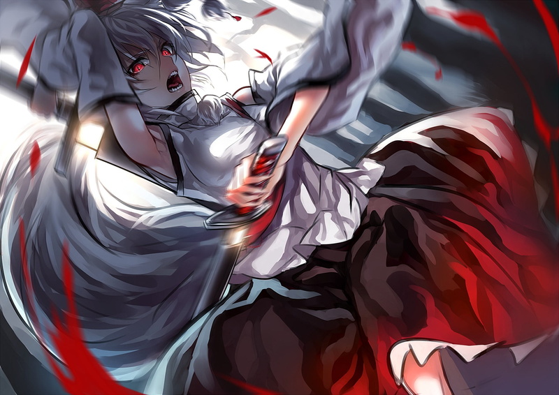 anime, indoors, Touhou, multi colored, close-up, day, animal ears, backgrounds, patriotism, fighting, full frame, Inubashiri Momiji, pattern, design, red eyes