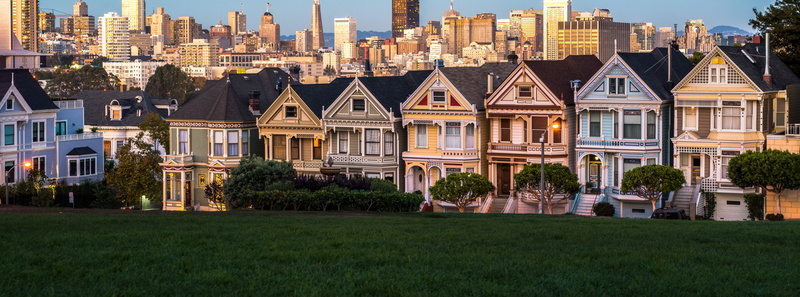 sanfranciscobay, community, Tourist, paintedlady, painted, home ownership, Home, City, plant, ladies, residential district, nature, paintedladies, skyscraper