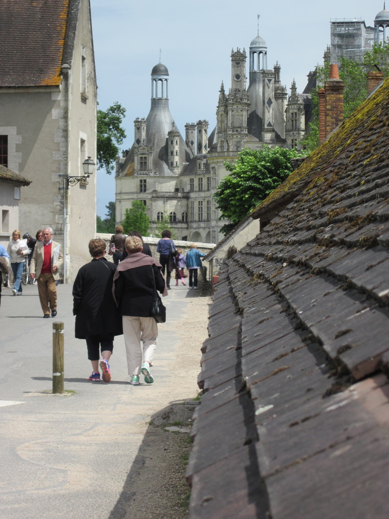 city, attraction, real people, place of worship, da vinci, medieval, group of people, building, Chateau, famous, tourist, renaissance, 4K, people, royal