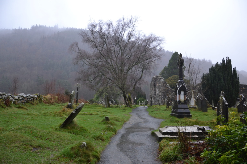 grass, 4K, cemetery, fog, sky, history, the past, no people, tombstone, stone, rain, day, outdoors, memorial, plant, nature, tree, ancient civilization