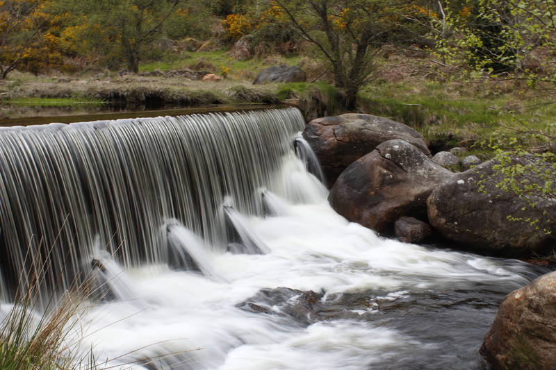 motion, tourism, power in nature, outdoors, ireland, rainforest, tree, landscape, glendalough, flowing water, no people, long exposure, europe, falling water