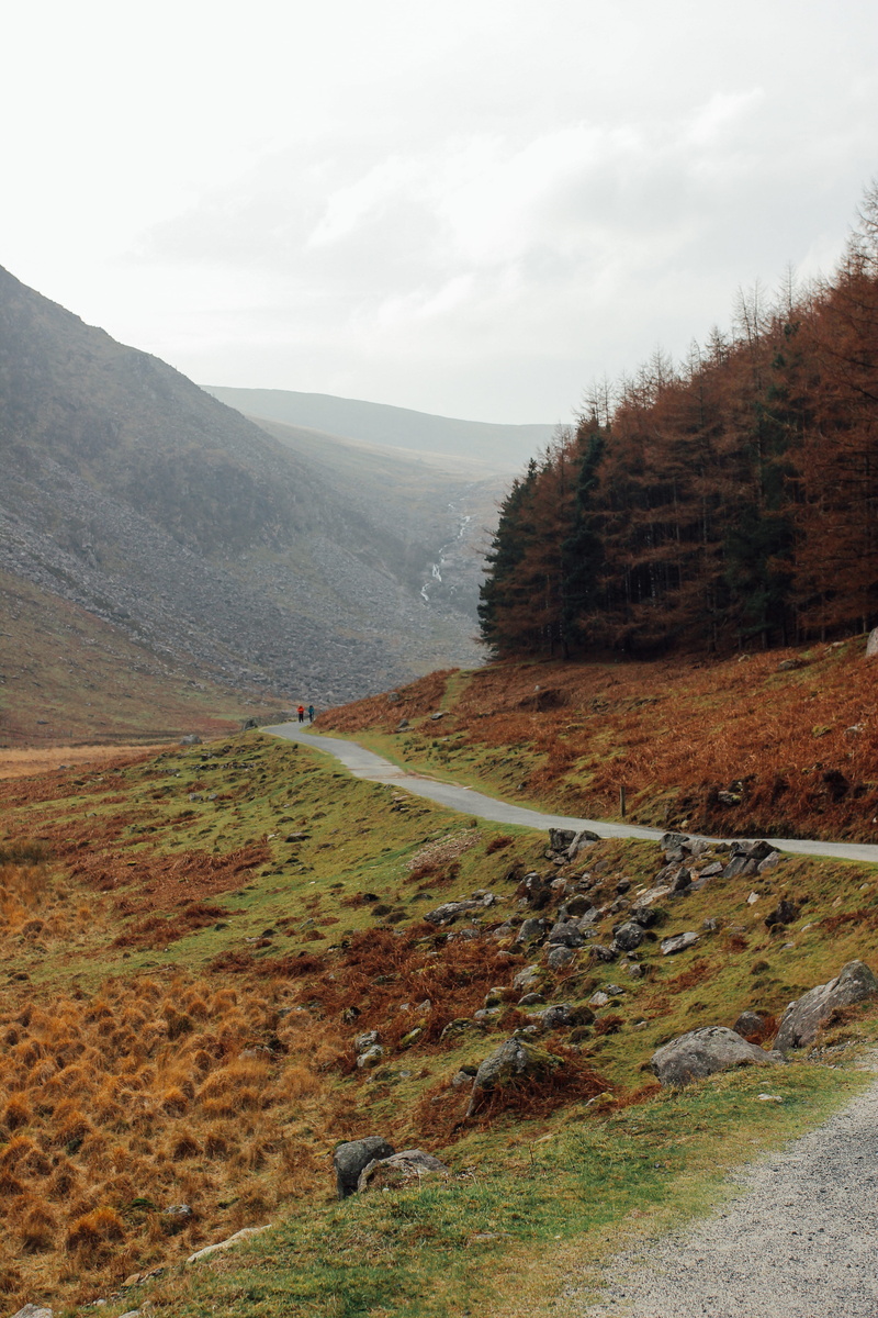 mountain, scenery, tree, 5K, tranquil scene, slope, land, day, gravel, non-urban scene, glendalough, no people, road, ireland, abies, environment, walk