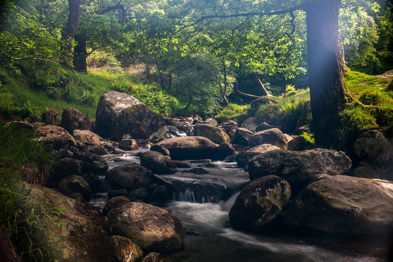 flowing water, nature, glendalough, tranquility, 5K, long exposure, river, motion, flowing, plant, beauty in nature, ireland, rock - object, rainforest