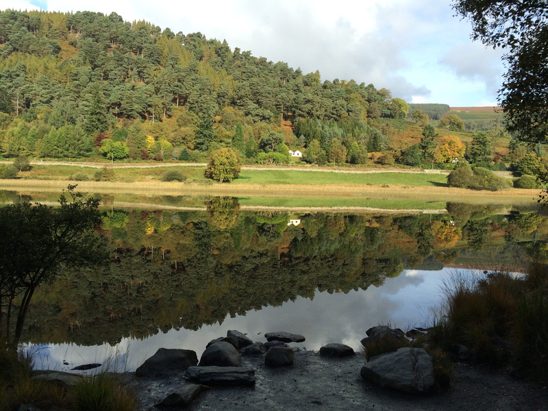 scenics - nature, glendalough, river, tranquil scene, outdoors, tree, Water, plant, green Color, cloud - sky, idyllic, loneliness, sky, day, beauty in nature