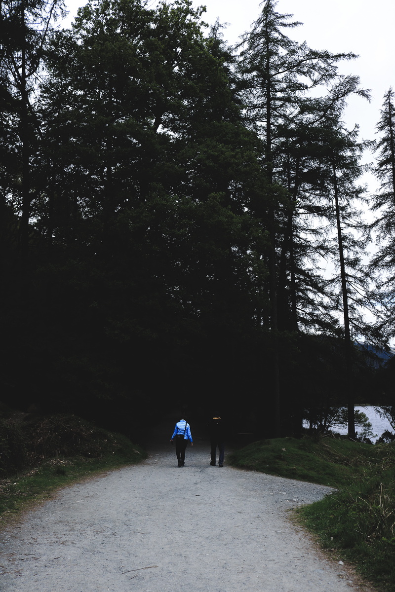 land, the way forward, road, outdoors, people, direction, ireland, explore, nature, create, leisure activity, lifestyles, dark, hiking, forest, mood, men