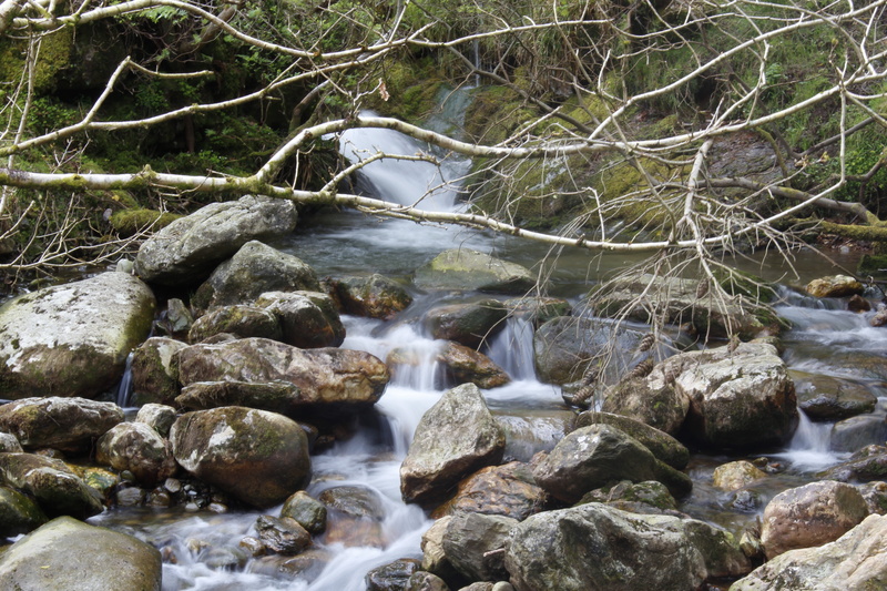 flow, long exposure, flowing water, beauty in nature, wicklow, europe, rock, land, green, tree, day, creek, scenics - nature, outdoors, nature, plant, stream - flowing water
