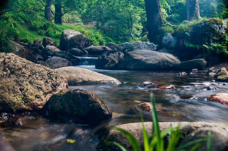 river, rock - object, forest, plant, rock, beauty in nature, stream - flowing water, nature, flowing water, scenics - nature, 5K, water, tranquil scene